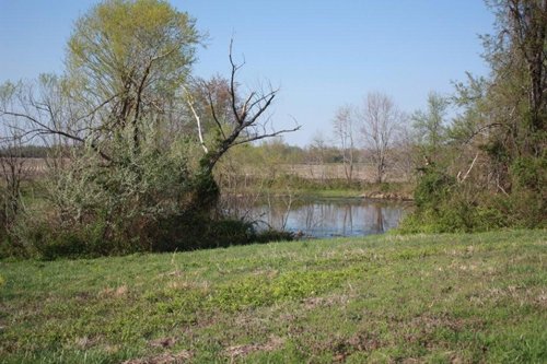 Property photo 19 - 641 Acres Offered in 16 Tracts - 545 Cropland Acres